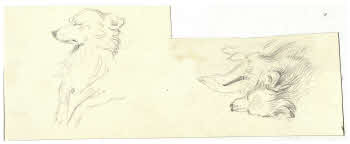 Visualizza l'immagine "FD D 127"